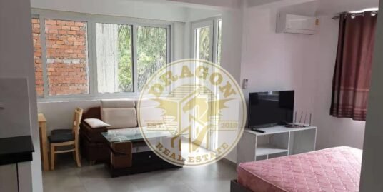 Impressive One Bedroom in Sihanoukville for Rent