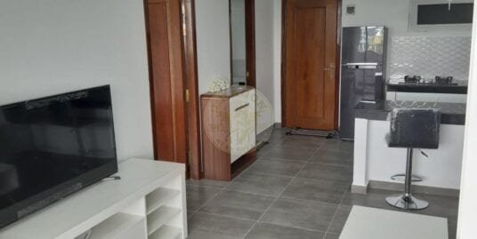 Europe Style Apartment for Rent. 500 USD Per Month